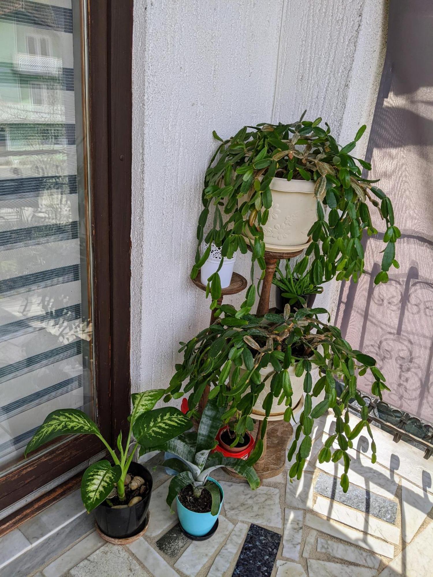 Apartmani Hrastik Bihać Camera foto